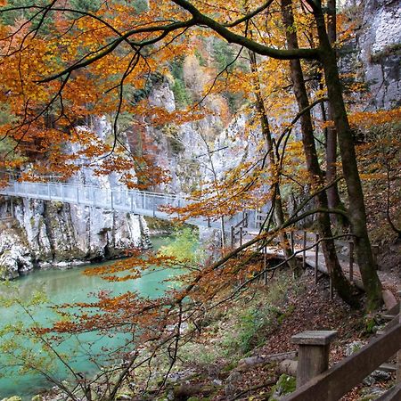 Beim Muehltaler Daire Schleching Dış mekan fotoğraf