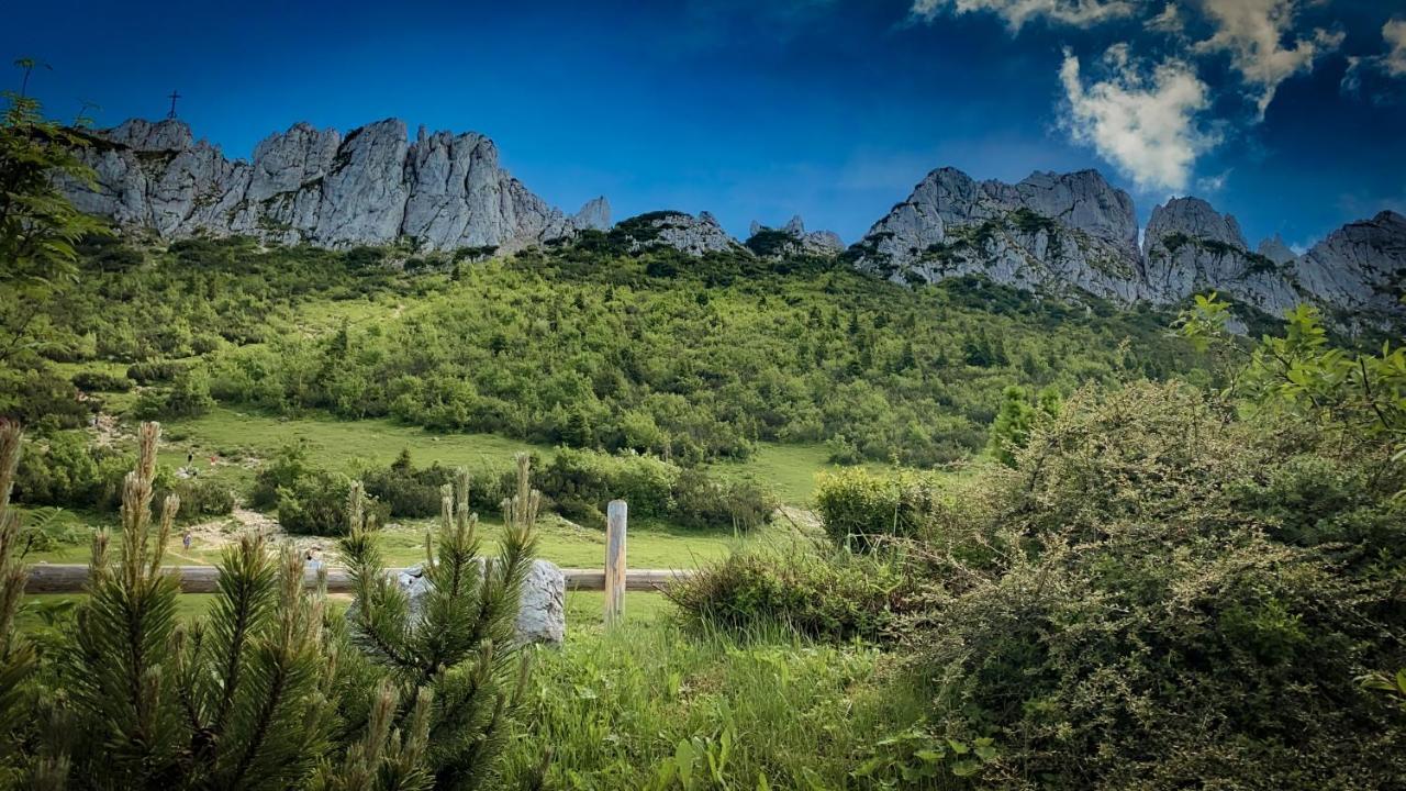 Beim Muehltaler Daire Schleching Dış mekan fotoğraf